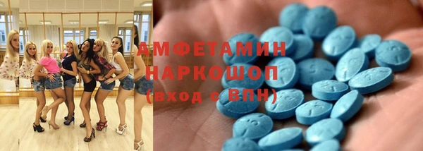 прущие крисы Бородино