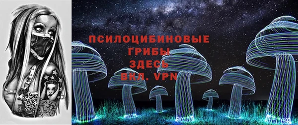 прущие крисы Бородино