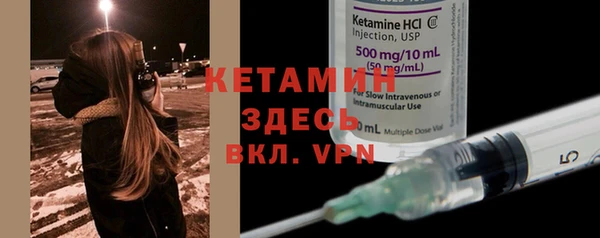 прущие крисы Бородино