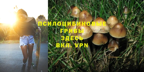 MDMA Premium VHQ Бронницы