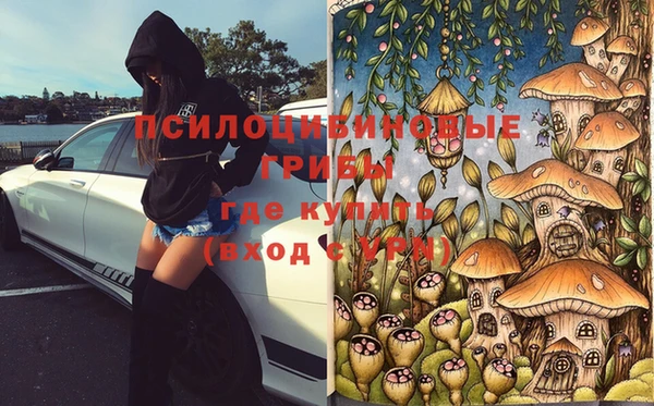 дмт Белокуриха