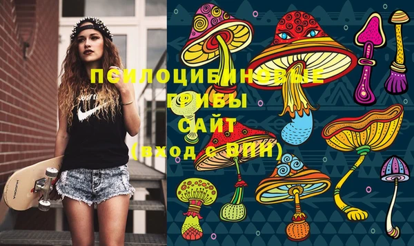прущие крисы Бородино