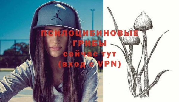 прущие крисы Бородино