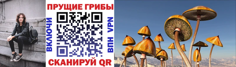 MEGA рабочий сайт  Горнозаводск  Псилоцибиновые грибы Magic Shrooms 